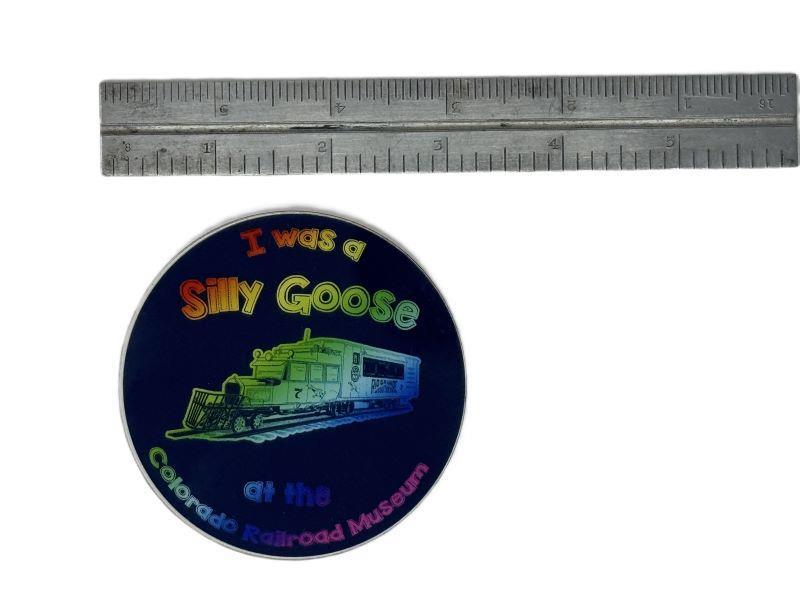 Silly Goose Magnet,ACRYLIC MAGNET